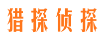 高淳侦探